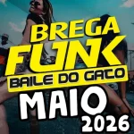 Download BREGA FUNK DE MAIO 2026 LANÇAMENTOS AS MAIS TOCADAS BAILE DO GATO