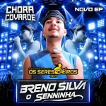 Download BRENO SILVA O SENNINHA CD NOVO 2027 PABLO SILVANNO SALLES TAYRONEGHGHGHHGHG