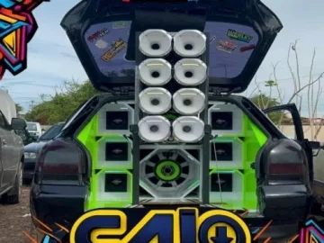 Download @CAlCDs 2023 CDL