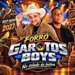 Download CD CANARINHO - GAROTOS BOYS