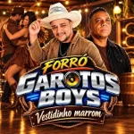Download CD VESTIDINHO MARROM - GAROTOS BOYS