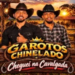 Ouvir e baixar CDs de Forró – cheguei na cavalgada Download cheguei na cavalgada