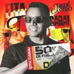 Download Dedé Castro - 50 Graus de Forró