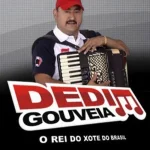 Download Dedim Gouveia O Rei do Xote do Brasil