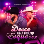 Download Desce uma pra esquecer-Patrick Souza feat chicote de luxo