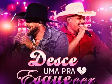 Download Desce uma pra esquecer-Patrick Souza feat chicote de luxo