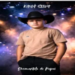 Ouvir e baixar CDs de Forró – desmantelo do Papai Download desmantelo do Papai