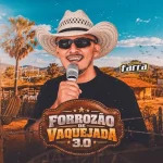 Download DJ FABINHO & FORRÓ NA FARRA • CD FORROZÃO DE VAQUEJADA 3.0 @rngravacoes