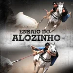 Download ENSAIO DO ALOZINHO