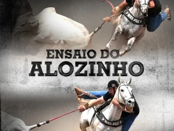 Download ENSAIO DO ALOZINHO