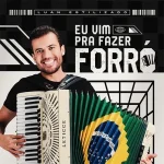 Download EU VIM PRA FAZER FORRO - Luan Estilizado
