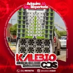 Download FILHO DO PISEIRO CAIXA SAMPLEADA PRA PAREDÃO SETEMBRO 2026 - kalebio cds