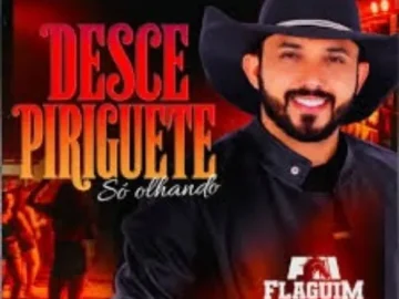 Download FLAGUIM MORAL CD NOVO 2027 FORRO DA BARRARIA