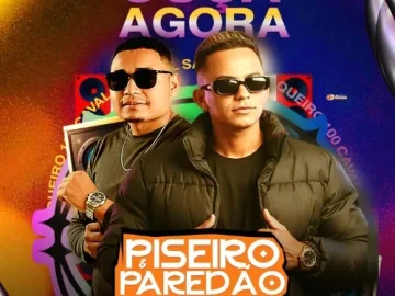 Download FLAMEL SANTOS CD PROMOCIONAL - SET 2026 - Piseiro & Paredão