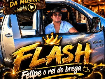 Download flash