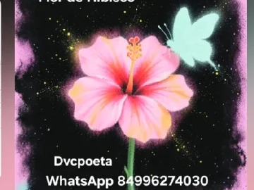 Download Flor de Hibisco