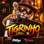 Download Forró Bota na Mídia e Forró do Kakiado - Tigrinho