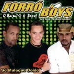 Ouvir e baixar CDs de Forró – Forró Boys - Vol.01 - Só Muleque Doido (2008) Download Forró Boys - Vol.01 - Só Muleque Doido (2008)