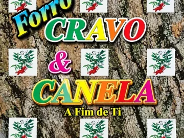 Download Forró Cravo & Canela - A Fim de Ti (1998)