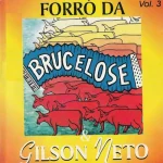 Download Forró Da Brucelose - Vol.03 (Sede De Te Amar)