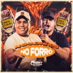 Download FORRÓ DE FRONT - ANIMADINHOS NO FORRÓ 2026