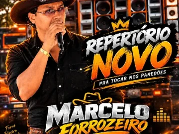 Download FORRO DE PAREDÃO