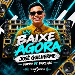 Download Forró de Paredão - Solinho do Desmantelo