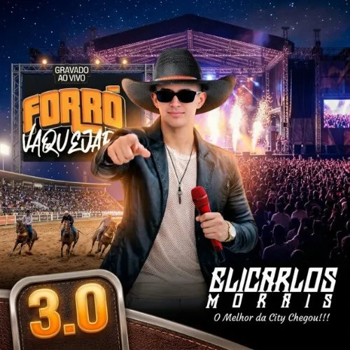 Download FORRO DE VAQUEJADA 3.0