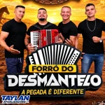 Download FORRO DO DESMANTELO 2026 AO VIVO @TaylanAtualizações