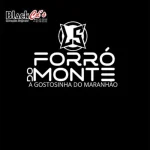 Download FORRÓ DO MONTE A GOSTOSINHA DO MARANHÃO CD OUTUBRO 2026 BLACK CDS 085 997103868