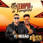 Ouvir e baixar CDs de Forró – FORRÓ DO NEGÃO TERAPIA DE FORROZEIROS 1.0 Download FORRÓ DO NEGÃO TERAPIA DE FORROZEIROS 1.0