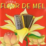 Download Forró Flor De Mel - Vol.01 (Brinquedo Qualquer)