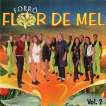Download Forró Flor De Mel - Vol.02 (É A Flor De Mel)