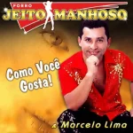 Download Forró Jeito Manhoso - Como Você Gosta (2016)