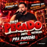 Ouvir e baixar CDs de Forró – FORRÓ PEGADO AO VIVO EM PASSAGEM PB Download FORRÓ PEGADO AO VIVO EM PASSAGEM PB