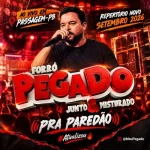 Download FORRÓ PEGADO - AO VIVO EM PASSAGEM-PB REPERTÓRIO NOVO SETEMBRO 2026 - PRA PAREDÃO