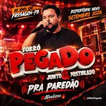 Download FORRO PEGADO - AOVIVO REPERTÓRIO NOVO ATUALIZADO SETEMBRO