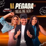 Download FORRO REAL - NA PEGADA DO REAL DE ACO - ANDRE DIVULGAÇÕES OFICIAL