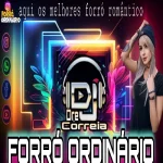 Download forro romântico (favela)