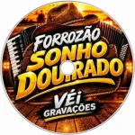Download FORRÓ SONHO DOURADO