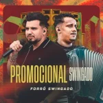 Download Forró Swingado - Swing dos Paredões Ao Vivo