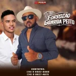 Download FORROZÃO GUARDA PEITO VOLUME 01
