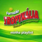 Download Forrozão Tropykália - Minha Playlist