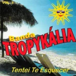 Ouvir e baixar CDs de Forró – Forrozão Tropykália - Vol.03 (Tentei Te Esquecer) Download Forrozão Tropykália - Vol.03 (Tentei Te Esquecer)