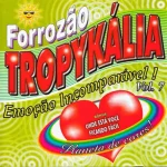 Download Forrozão Tropykália - Vol.07 (Planeta De Cores)
