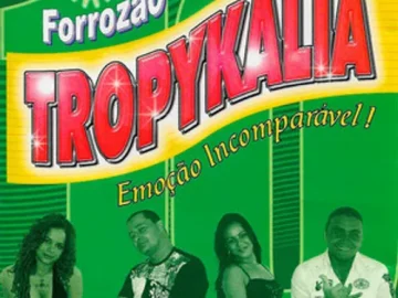 Download Forrozão Tropykália - Vol.10 (Alto Astral)