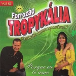Ouvir e baixar CDs de Forró – Forrozão Tropykália - Vol.12 (Porque Eu Te Amo) Download Forrozão Tropykália - Vol.12 (Porque Eu Te Amo)