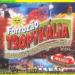 Download Forrozão Tropykália - Vol.8 - Enquanto Houver Amor - 2005 - Ao Vivo em São Luís - MA