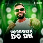 Download Forrozin do DN