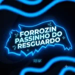 Download FORROZIN PASSINHO DO RESGUARDO